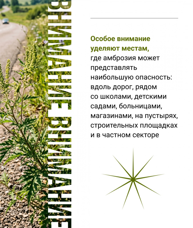 Rg7wrRcDpQMU8B3wL2AxZFnUkk_wX8sIJHyMeTUCV1OB6v6E7RPUv9DdXViFoCETyZJyAGlcWUqEzISVK5qUHQO_